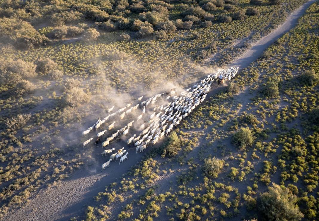 Konyalı besiciler kuraklığa çözüm buldu! Verim düşmeyecek 4